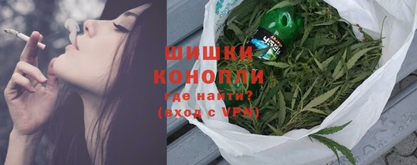 эйфоретик Бородино