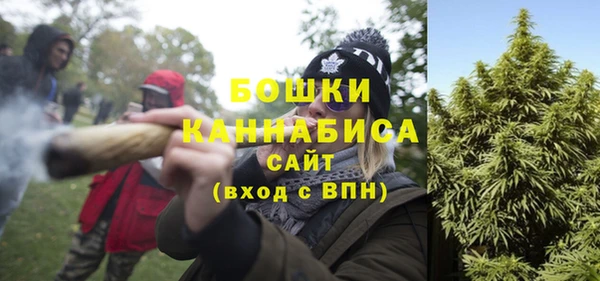 эйфоретик Бородино