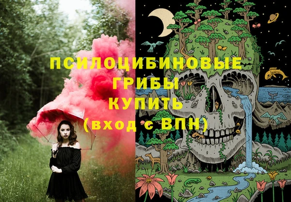 эйфоретик Бородино