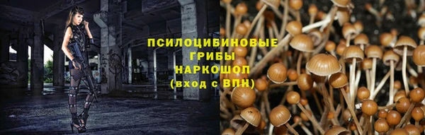 скорость Бронницы